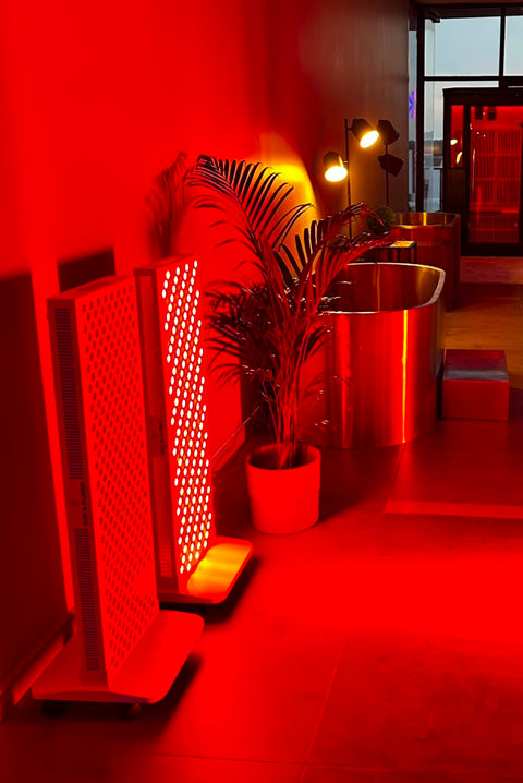 NeoGlow 300 - Red Light Therapy Panel